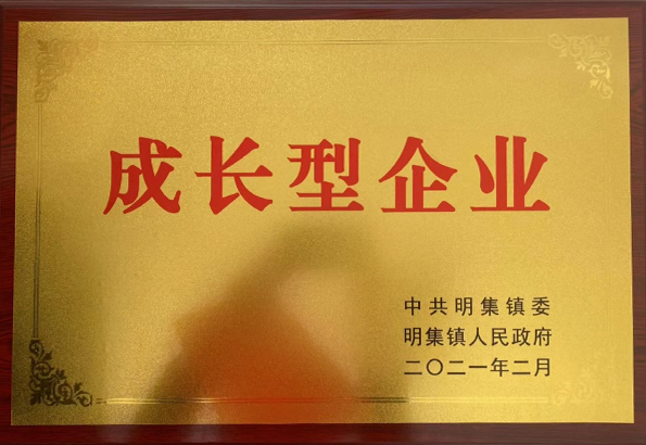 成长型企业
